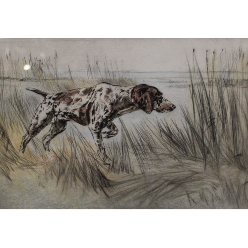 18 - HENRY WILKINSON (1921-2011). Study of a pointer at waters edge, signed in pencil lower right, limite... 