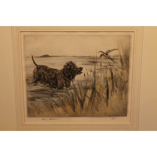 20 - HENRY WILKINSON (1921-2011). Study of an Irish water spaniel at waters edge putting up a waterfowl, ... 