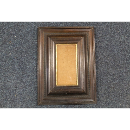 37 - A 19TH CENTURY DUTCH EBONISED FRAME, with gold slip and glazed, frame W 11 cm, slip rebate 12 x 23.5... 