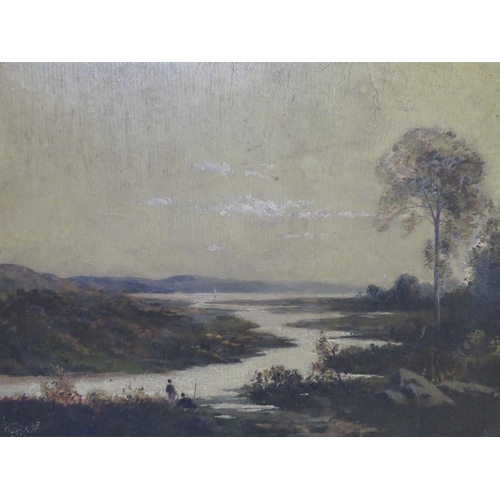 2 - (XIX-XX). British school, extensive wooded loch scene with anglers, unsigned, oil on board, framed, ... 