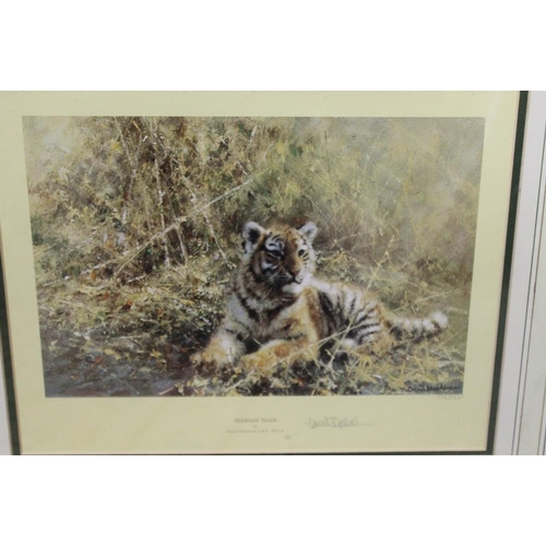 26 - A SIGNED LIMITED EDITION GILT FRAMED AND GLAZED DAVID SHEPHERD PRINT OF A TIGER CUB ENTITLED TEENAGE... 