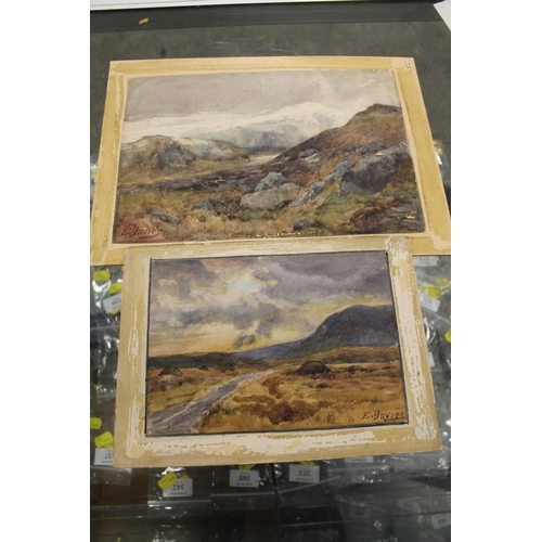 53 - TWO UNFRAMED WATERCOLOURS OF HIGHLAND SCENES BY E. DAVIES (CABINET)