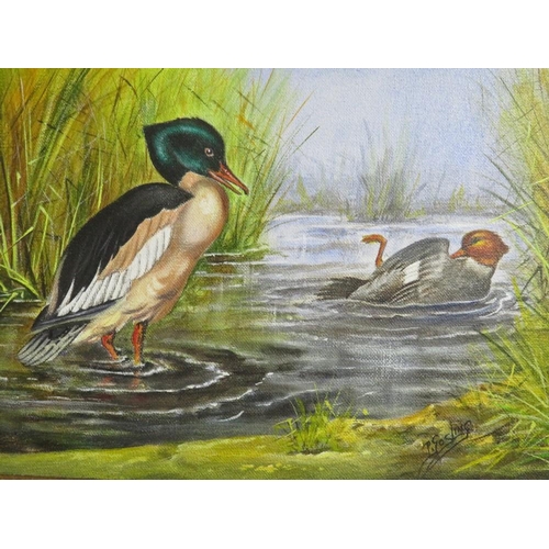 13 - P. GOSLING - A SMALL OIL ON CANVAS DEPICTING DUCKS 20 X 30 CM