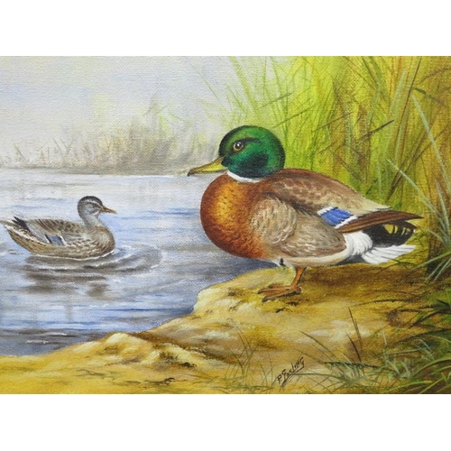 19 - P. GOSLING A SMALL OIL ON CANVAS DEPICTING DUCKS 20 X 30 CM