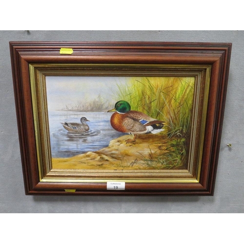 19 - P. GOSLING A SMALL OIL ON CANVAS DEPICTING DUCKS 20 X 30 CM