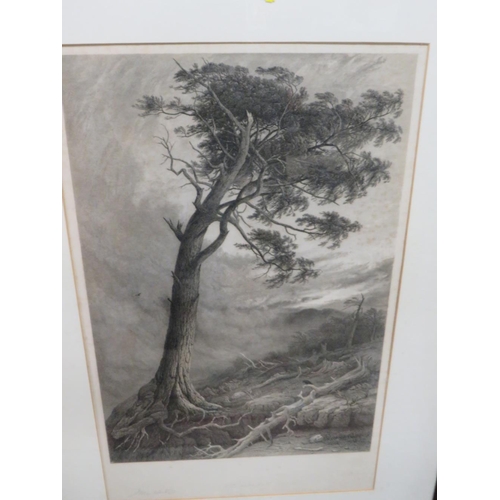 26 - A LARGE FRAMED ENGRAVING, A LARGE FRAMED CEYLINDO TEA PRINT AND A VICTORIAN PRINT (3)