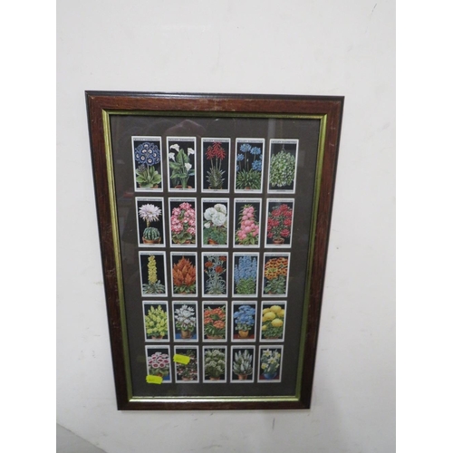 39 - TWO PAIRS OF FRAMED CIGARETTE CARDS - BUTTERFLIES & FLOWERS