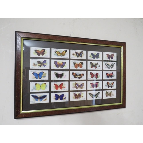 39 - TWO PAIRS OF FRAMED CIGARETTE CARDS - BUTTERFLIES & FLOWERS