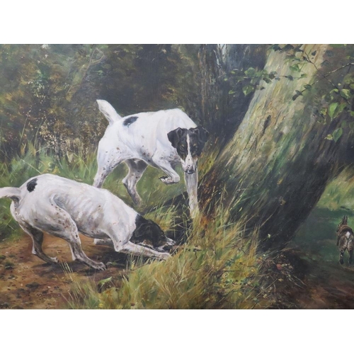 5 - AN OIL ON BOARD DEPICTING DOGS HUNTING A RABBIT SIGNED BUT INDISTINCT 37 X 52 CM