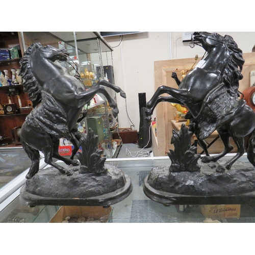 250 - A PAIR OF SPELTER MARLEY HORSES PAINTED BLACK