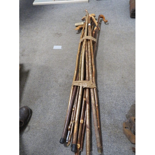 225 - A SELECTION OF TALL WALKING STICKS AND STAFFS