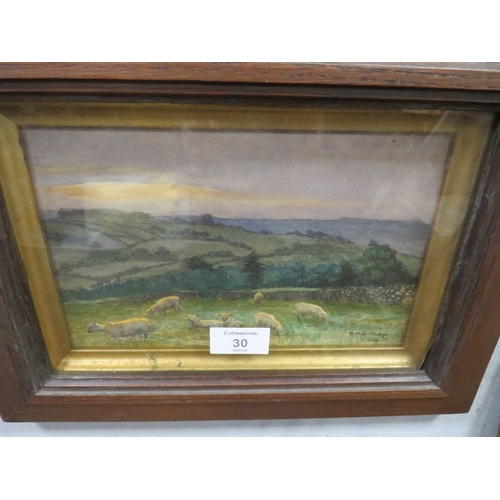 30 - A FRAMED AND GLAZED WATERCOLOUR OF SHEEP GRAZING, HILLS BEYOND, SIGNED AND DATED RUTH CARTLIDGE 1916... 