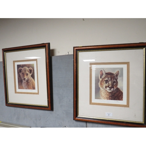 37 - IAN NATHAN - A SET OF FOUR FRAMED AND SIGNED WILDLIFE PRINTS