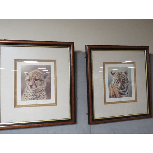 37 - IAN NATHAN - A SET OF FOUR FRAMED AND SIGNED WILDLIFE PRINTS