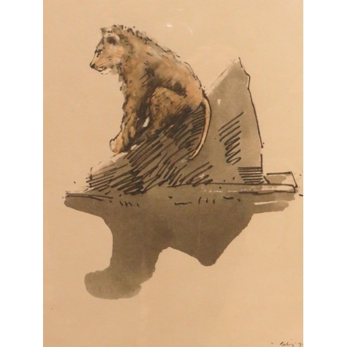 13 - A HAROLD RILEY SKETCH OF A LION CUB, FRAMED AND GLAZED