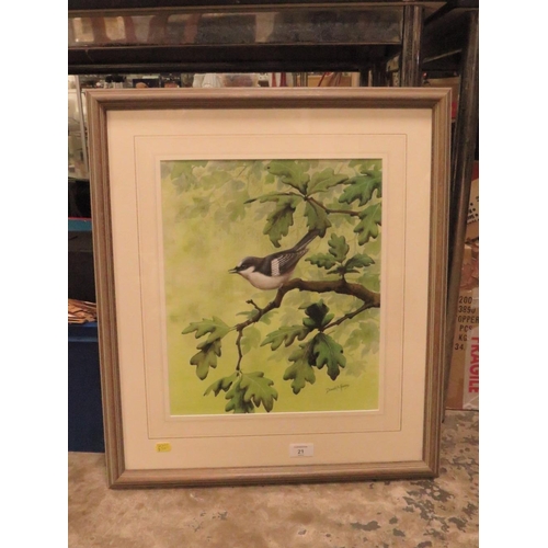 21 - DAVID ALAN FINNEY (b.1961). Study of a pied wagtail in an oak tree, see verso, signed lower right, w... 