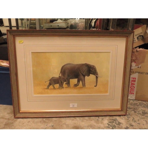 23 - JULIE G ASKEW - A WATERCOLOUR DEPICTING AN ELEPHANT & CALF 23 x 40 cm