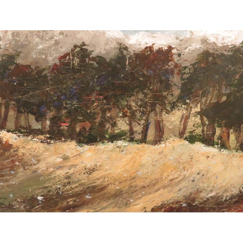 6 - IMPRESSIONIST WOODED LANDSCAPE CONTINENTAL SCHOOL SEE VERSO