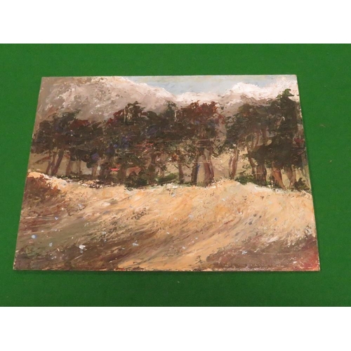 6 - IMPRESSIONIST WOODED LANDSCAPE CONTINENTAL SCHOOL SEE VERSO