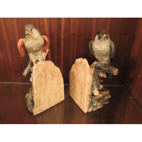 230 - BIRD OF PREY BOOK ENDS