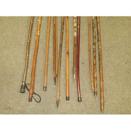 236 - A SELECTION OF WOODEN WAKING STICKS