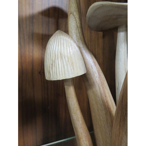 256 - A WOODEN MUSHROOM DISPLAY