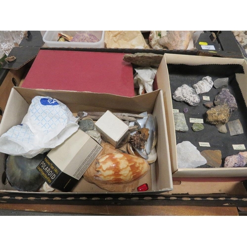 162 - THREE TRAYS OF GEOLOGICAL ROCK EXAMPLES, SEA SHELLS ETC