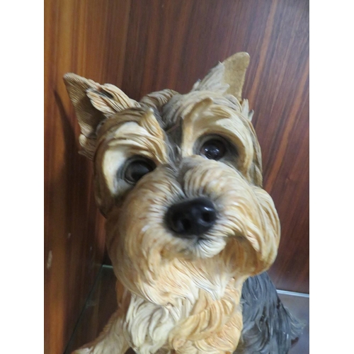 214 - A RESIN MODEL OF A YORKIE