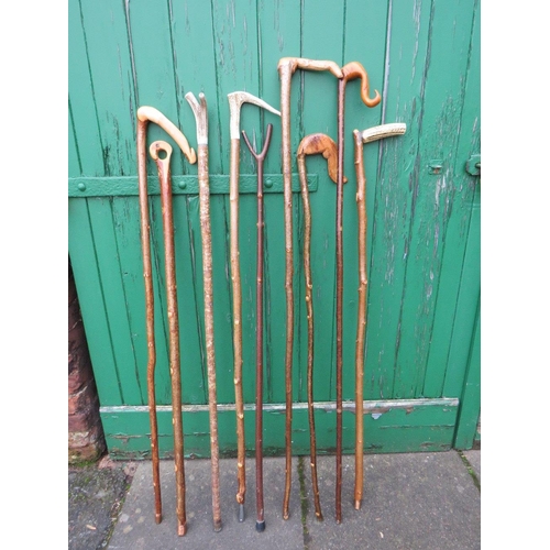 230 - A COLLECTION OF WALKING STICKS / STAFFS