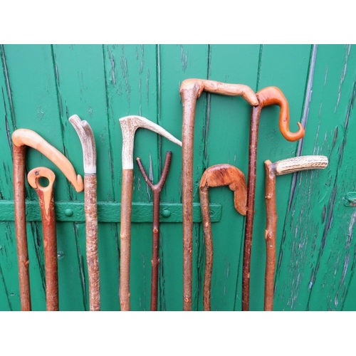 230 - A COLLECTION OF WALKING STICKS / STAFFS