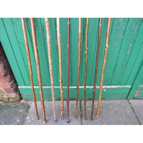 230 - A COLLECTION OF WALKING STICKS / STAFFS