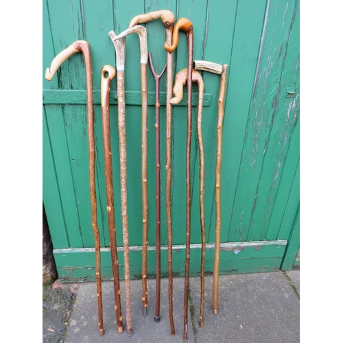 230 - A COLLECTION OF WALKING STICKS / STAFFS