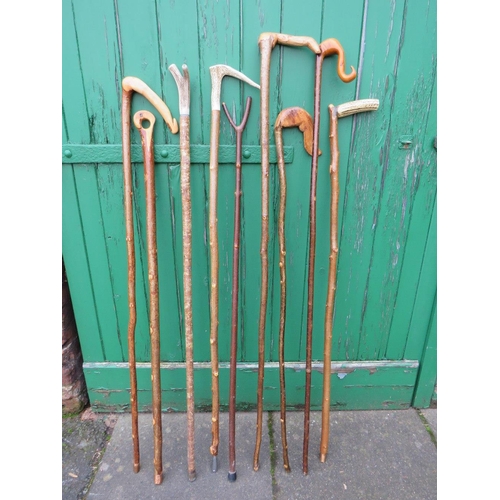 230 - A COLLECTION OF WALKING STICKS / STAFFS