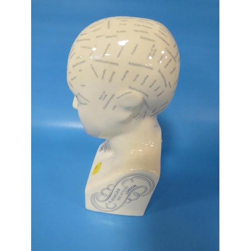 240 - A REPRODUCTION PHRENOLOGY HEAD