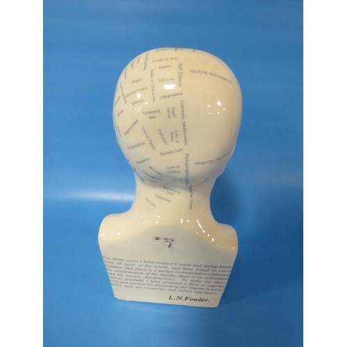 240 - A REPRODUCTION PHRENOLOGY HEAD