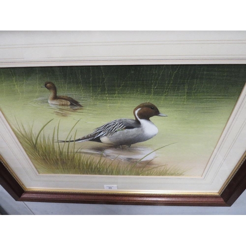 26 - DAVID A FINNEY - A FRAMED WATERCOLOUR DEPICTING DUCKS - 31.5 X 45 CM