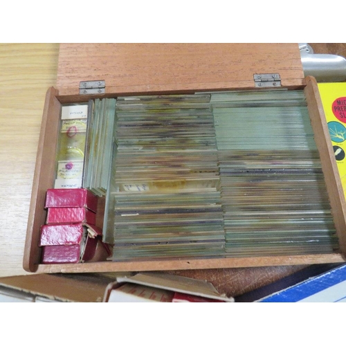 450 - A SELECTION OF VINTAGE MICROSCOPE SLIDES