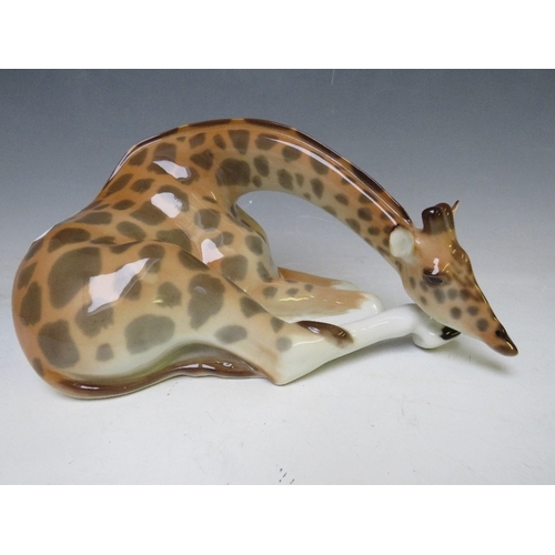 275 - A LOMONOSOV USSR CERAMIC FIGURE OF A RECUMBERENT GIRAFFE