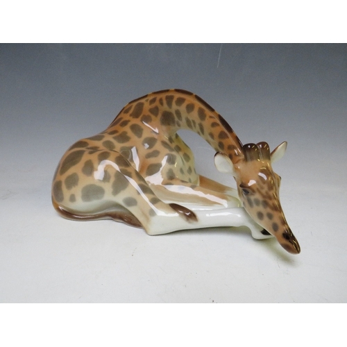 275 - A LOMONOSOV USSR CERAMIC FIGURE OF A RECUMBERENT GIRAFFE