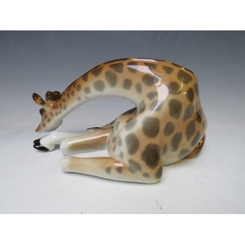 275 - A LOMONOSOV USSR CERAMIC FIGURE OF A RECUMBERENT GIRAFFE