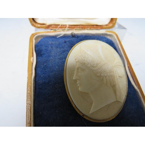 176 - A 19TH CENTURY CAMEO BROOCH, depicting a Roman head study in yellow metal frame, 4.5 x 3.5 cm