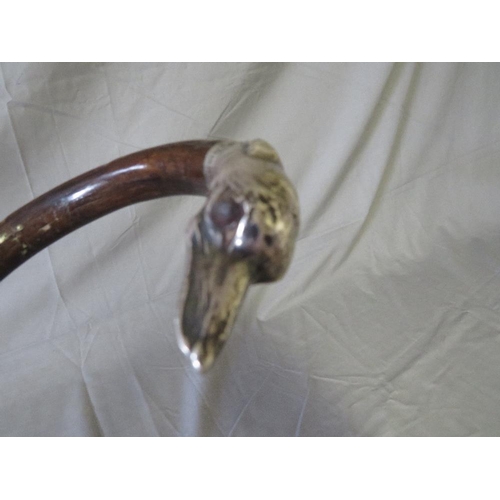 388 - A LATE 19TH / EARLY 20TH CENTURY WALKING STICK WITH HALLMARKED SILVER MOUNTED HANDLE - BIRMINGHAM 19... 