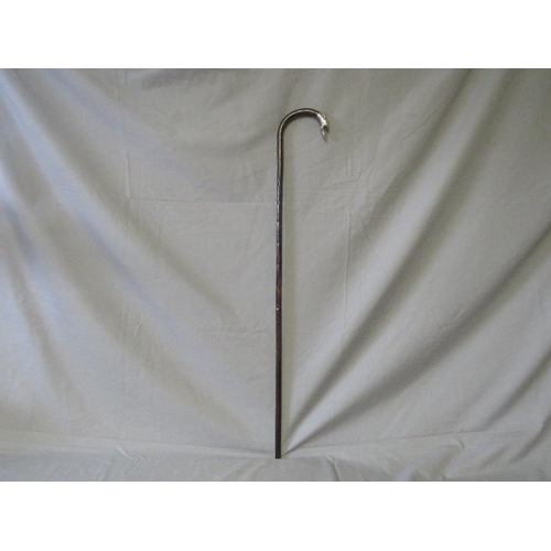 388 - A LATE 19TH / EARLY 20TH CENTURY WALKING STICK WITH HALLMARKED SILVER MOUNTED HANDLE - BIRMINGHAM 19... 