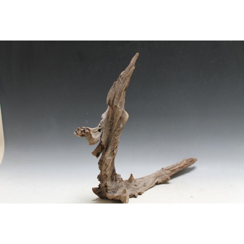 396 - AN UNUSUAL PIECE OF DRIFT STYLE WOOD NATURALLY FORMED IN THE SHAPE OF A WIZARD, H 41 cm