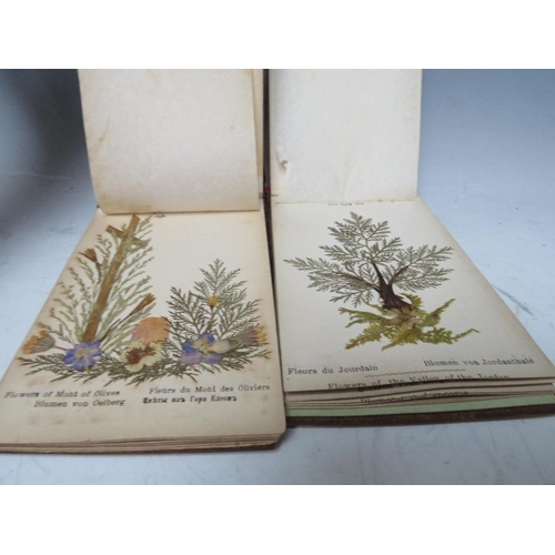 401 - TWO VICTORIAN OLIVE WOOD BOOKS FLOWERS OF THE HOLY LAND, Jerusalem, 10 x 16 cm each