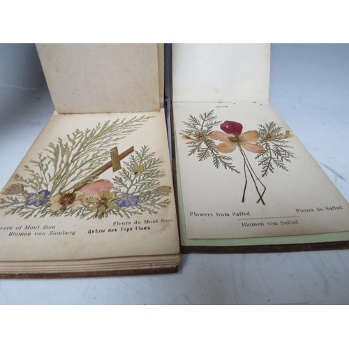 401 - TWO VICTORIAN OLIVE WOOD BOOKS FLOWERS OF THE HOLY LAND, Jerusalem, 10 x 16 cm each