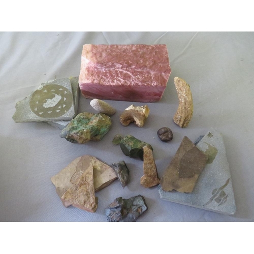 442 - NATIVE AMERICAN CATLINITE PIPE STONE, FOSSILS, ANCIENT TEETH, minerals, meteorite etc.