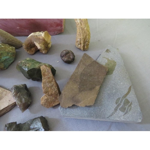 442 - NATIVE AMERICAN CATLINITE PIPE STONE, FOSSILS, ANCIENT TEETH, minerals, meteorite etc.