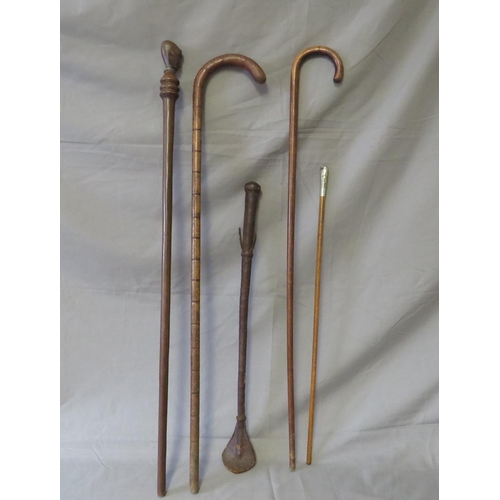 444 - TWO WALKING STICKS, A SWAGGER STICK MARKED EGYPT 44, a leather whip and African walking cane