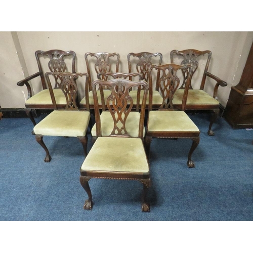 506 - A SET OF EIGHT ANTIQUE CHIPPENDALE STYLE DINING CHAIRS, with pierced splats, raised on cabriole supp... 